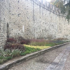 dopo l'intervento