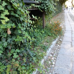 prima dell'intervento